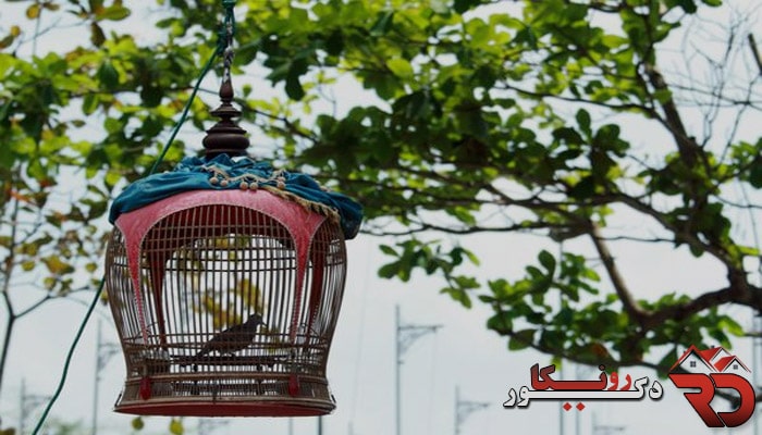 راهنمای خرید قفس مناسب برای پرندگان خانگی و زینتی
